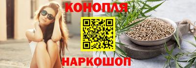 амф Новозыбков
