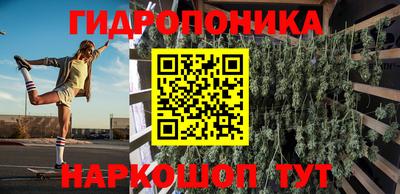 амф Новозыбков