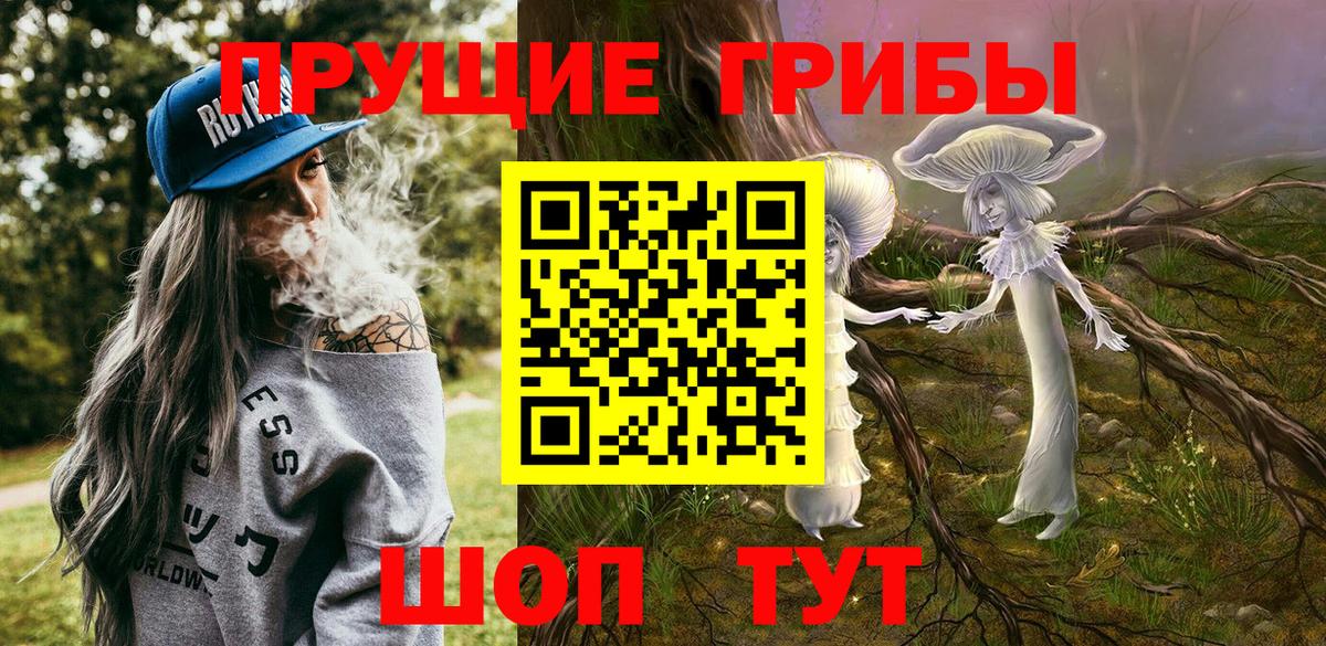 Галлюциногенные грибы Psilocybine cubensis Славянск-на-Кубани